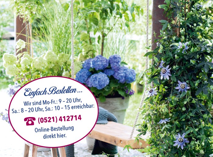 Gartencenter Muhlenweg Ihr Gartencenter In Owl